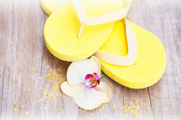 istock Summer concept, flip-flops, summer accessories 696881510