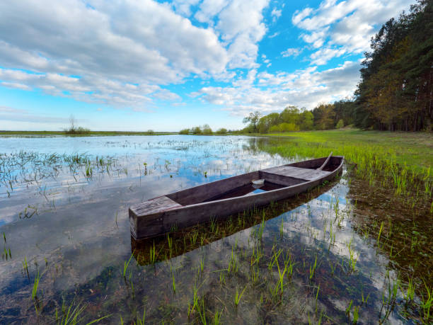 istock Spring floods of Biebrza river 696881698