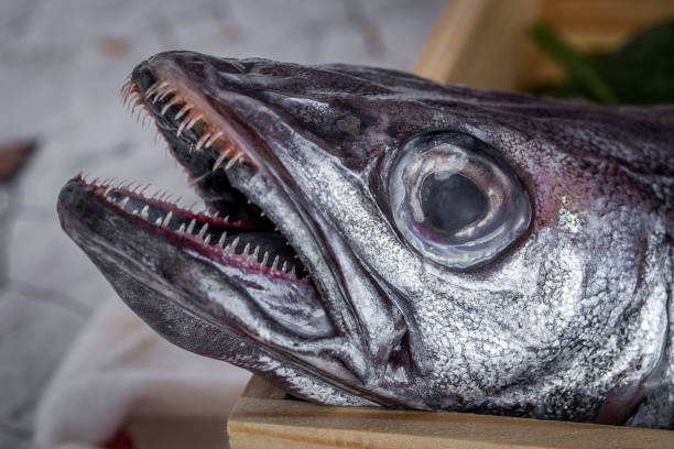 istock Fresh raw fish on wooden board. Background. From above 696889516