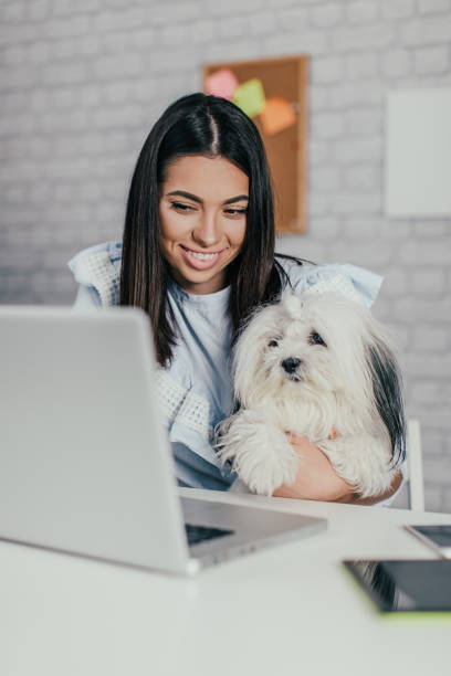 istock Woman with her dog in office 696893650