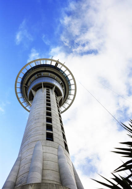istock New Zealand 696895958