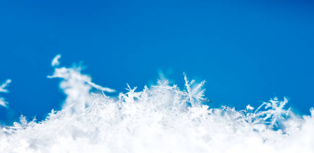 istock natural snowflakes on snow 696896234