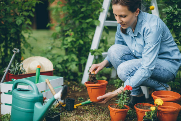 istock Woman planting flowers 696908000