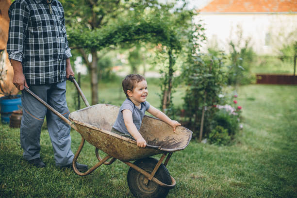 istock Drive me grandpa 696909140