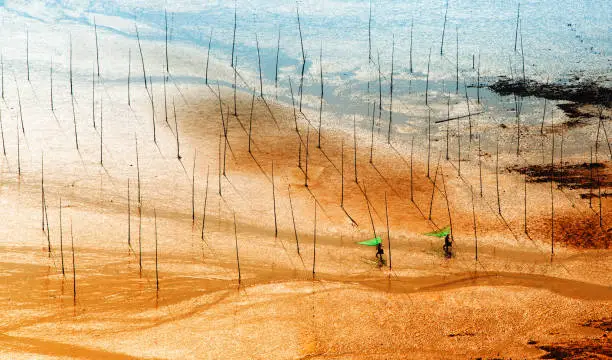 Fishermen carrying fish nets on artistic Mudflats beach in Xiapu, Fujian Province, China.