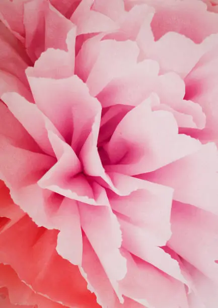 Flower of pink paper with large petals. Decorative flower.