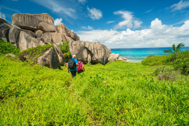 Seniors Taking on the World, hiking on tropical island active senior couple walking through high grass of seychelles island on sunny vacation day la digue island photos stock pictures, royalty-free photos & images