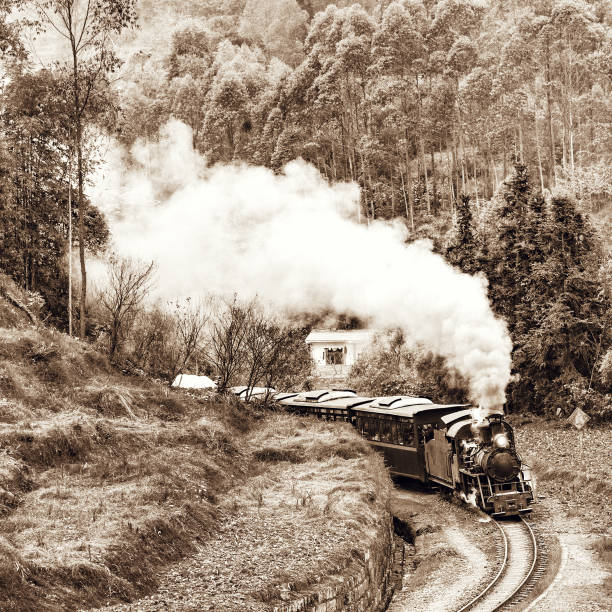 istock Steam narrow-gauge train. 696927402