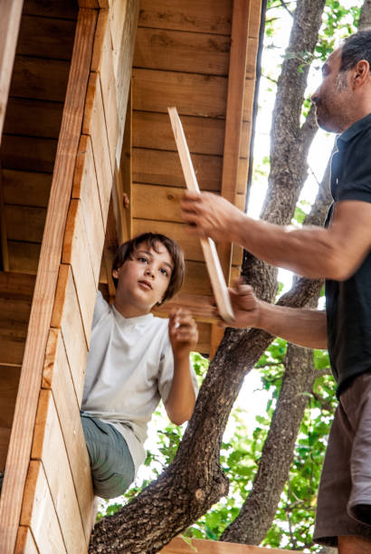 istock Father and Son Building a Tree House Together 696935800