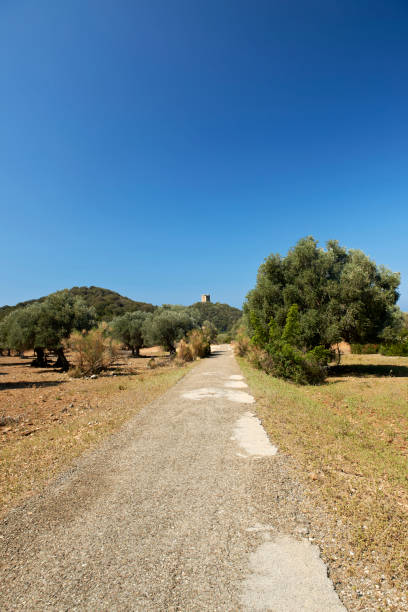 istock maremma bike lane 696941054