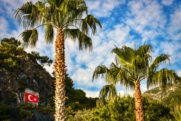 View of landscape in Oludeniz,Turkey with palm tree
