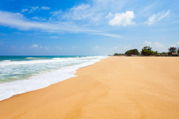 istock Beauty beach, Sri Lanka 696947670