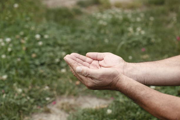 istock Palm of the hand 696948468