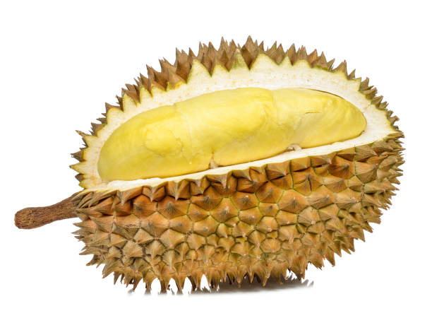 istock Durian isolated on the white background 696954046