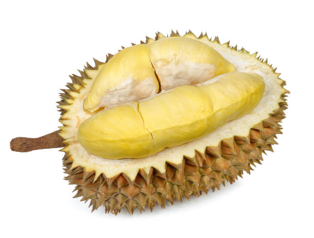istock Durian isolated on the white background 696954402