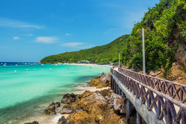 istock Tropical island Koh Larn in Thailand 696956340