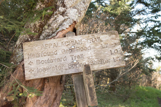 appalachian trail abstand zeichen lehnt sich gegen baum - newfound gap stock-fotos und bilder