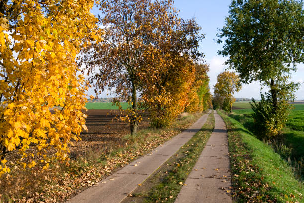 istock Germany: Autumnal walking tour on the Martin Luther pilgrimage path in Eastern Thuringia 696965728