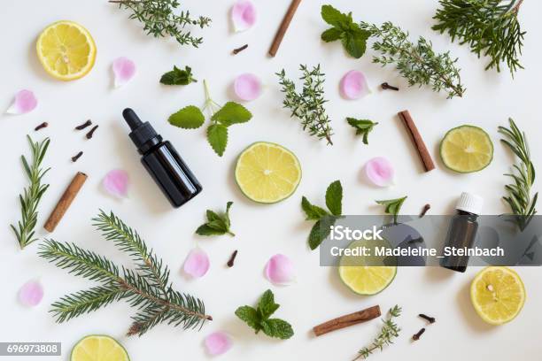 Selección De Aceites Esenciales Y Hierbas Foto de stock y más banco de imágenes de Aceites esenciales - Aceites esenciales, Aromaterapia, Perfumado