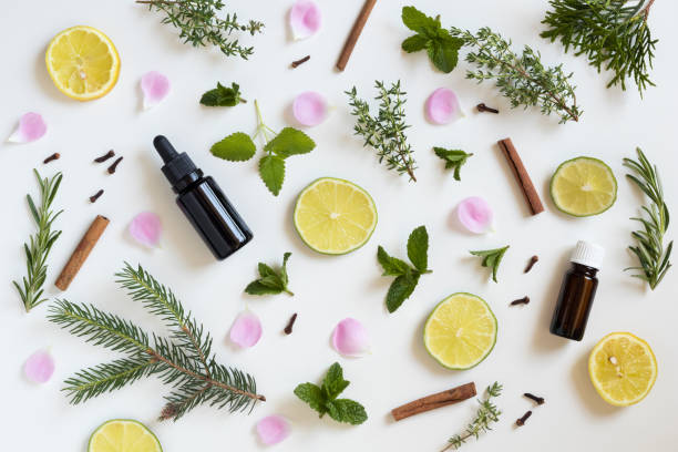 istock Selection of essential oils and herbs 696973808