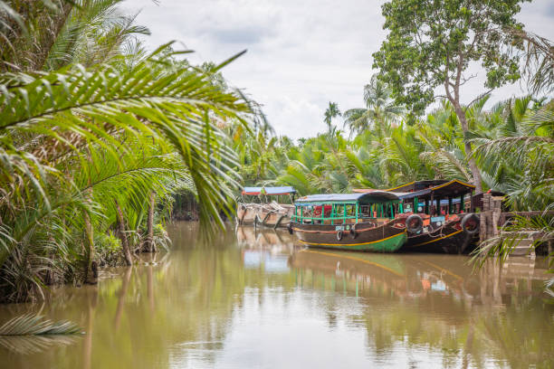 Mekong Delta, Vietnam - November 21, 2015: Tourists boats are docked at the bank in the Mekong Delta. This region is very touristy and there are many boats on the delta to transport tourists. The trees and the vegetation creates a decor typical of this warm region.