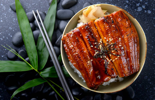 Japanese eel grilled with rice or Unagi don. Japanese eel grilled with rice or Unagi don set on plate in Japanese style with studio lighting. ibaraki prefecture stock pictures, royalty-free photos & images