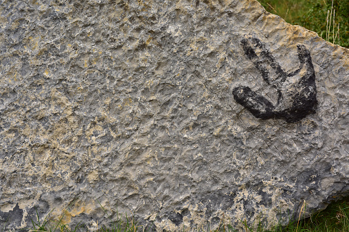 Ichnites or fossilized footprints of dinosaur and ripple marks. Valdecevillo, Enciso, La Rioja, Spain.