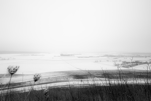 Large fields covered by snow and fod during a strong winter day