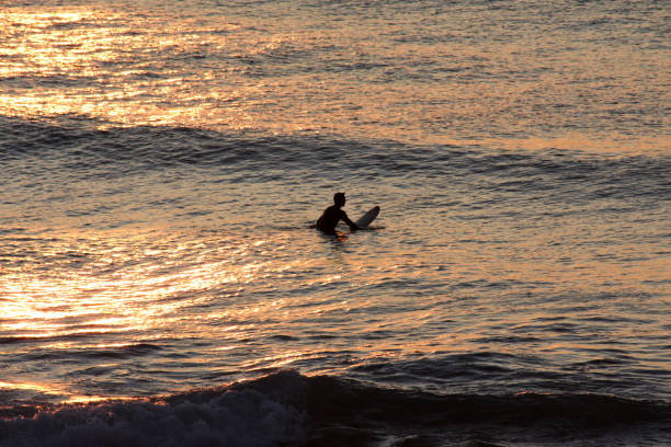istock Silhouette of a surfer 697008960