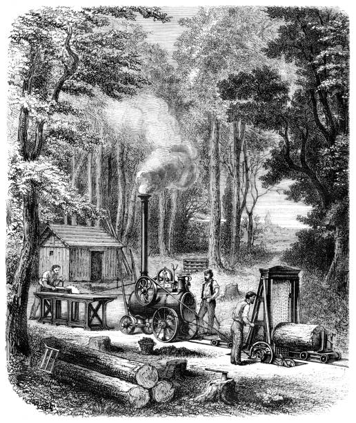 Steel engraving men lumberjack working in the forest