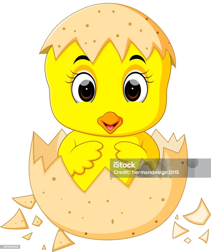 Con Gà Hoạt Hình Nhỏ Nở Ra Từ Một Quả Trứng Hình minh họa Sẵn có ...