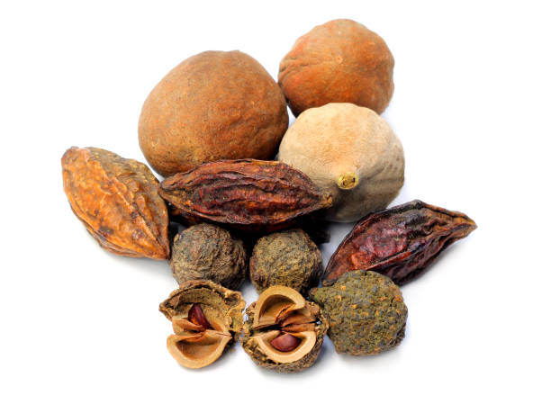 istock Triphala-ayurvedic fruits 697020818