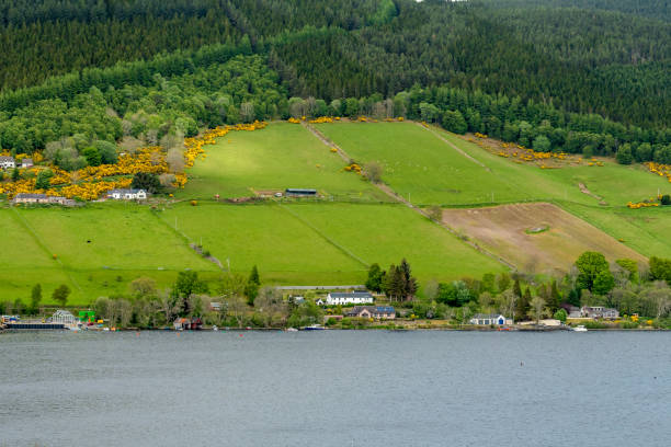 Village on the Loch Ness A small village on loch ness with beautiful green medows at the back surrounded by hills and trees. This was taken drunig the walk from Drumnadrochit to Urquhart Castle. drumnadrochit stock pictures, royalty-free photos & images