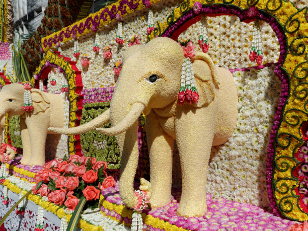 Elephant made from sesame seeds (Chiang Mai Flower Festival, Thailand) Elephant art is made from sesame seeds (Chiang Mai Flower Festival, Thailand) parade float stock pictures, royalty-free photos & images