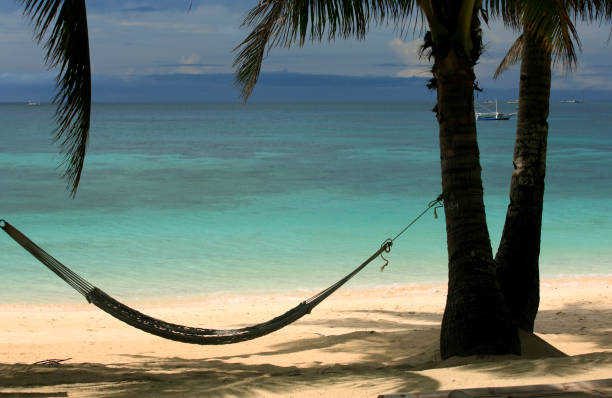 istock View of nice tropical empty sandy beach with some palm and hammock 697027184