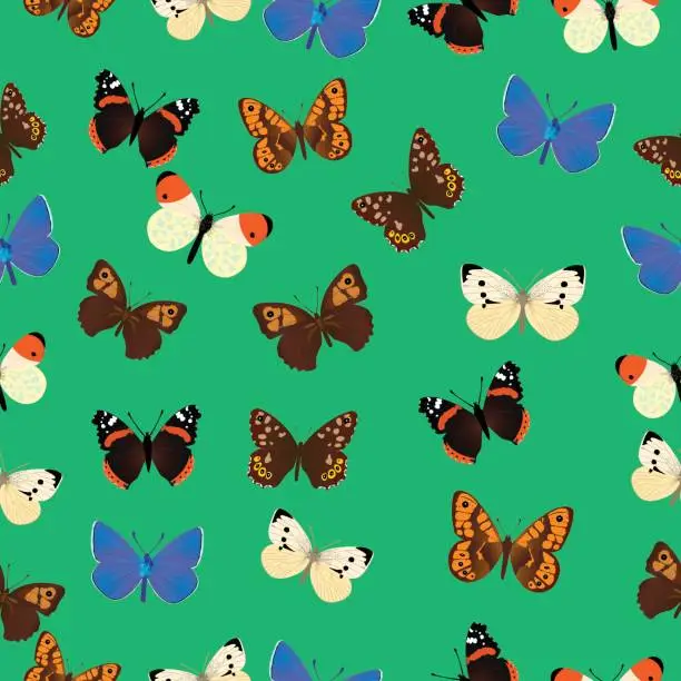 Vector illustration of Seamless common butterfly pattern with azure background