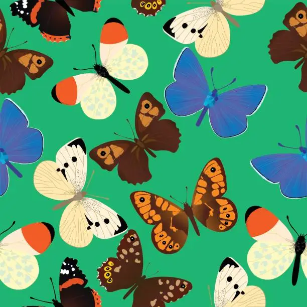 Vector illustration of Seamless pattern with different common butterflies