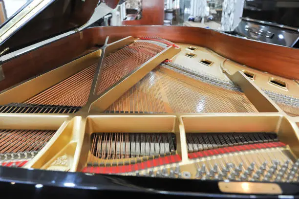 Pianno details,Technician, tuning the piano