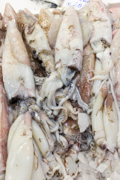 istock Sea fish on market stalls 697041406