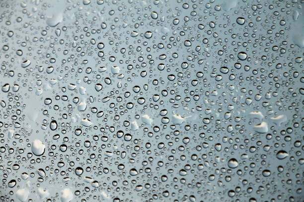 raindrops na janela, dia de chuva - cold rain parasol gray - fotografias e filmes do acervo