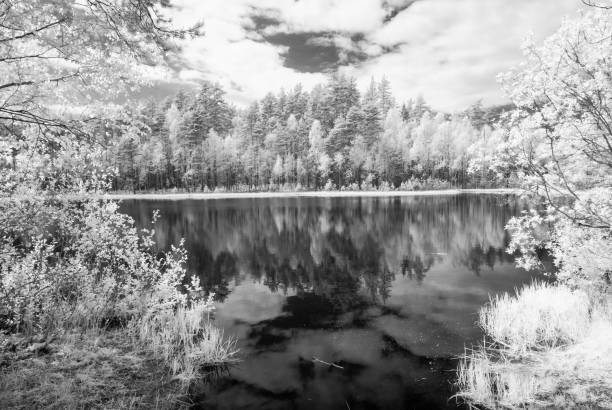 istock forest lake in hot summer day. infrared image 697044880