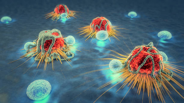 암 세포와 림프 톨의 3d 그림 - human white blood cell 뉴스 사진 이미지