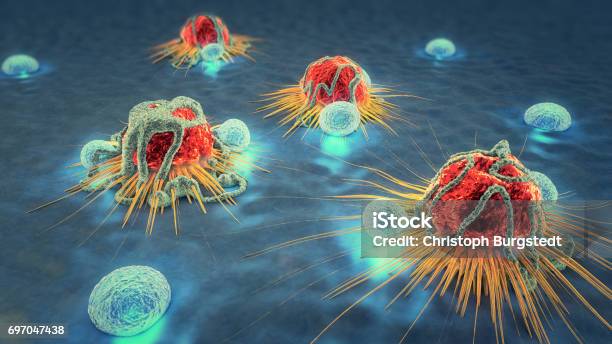 3d Illustration Of Cancer Cells And Lymphocytes Stock Photo - Download Image Now - Cancer Cell, Cancer - Illness, Immune System