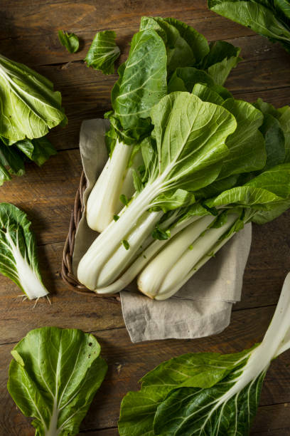 istock Raw Green Organic Bok Choy 697047712