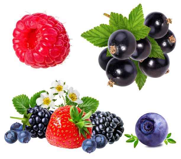 istock Berries collection. Raspberry, blueberry, currant, blackberry,strawberry isolated 697051298