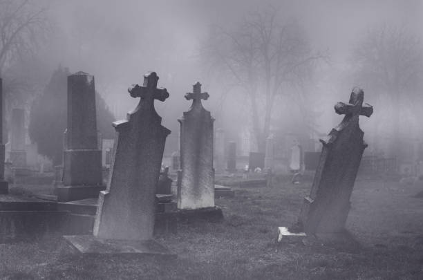 Old creepy haunted cemetery on foggy night stock photo