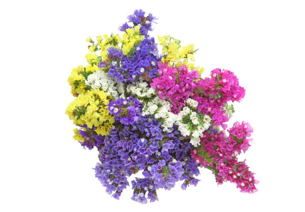 istock Bouquet of Limonium 697054704