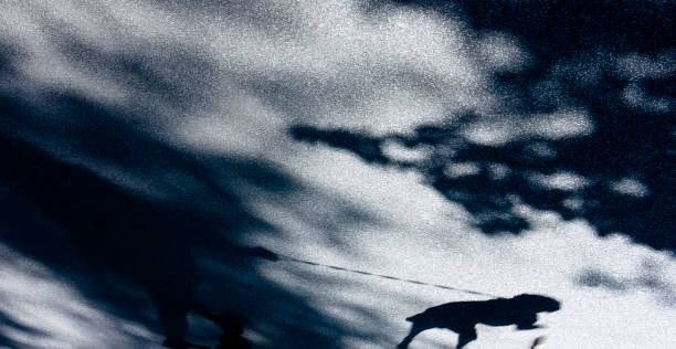 istock Blurry shadow of a person and a dog 697057130