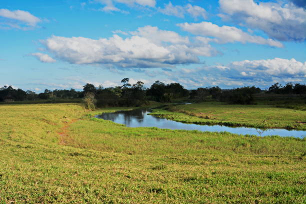 istock Rural landscape of Joinville 697057150
