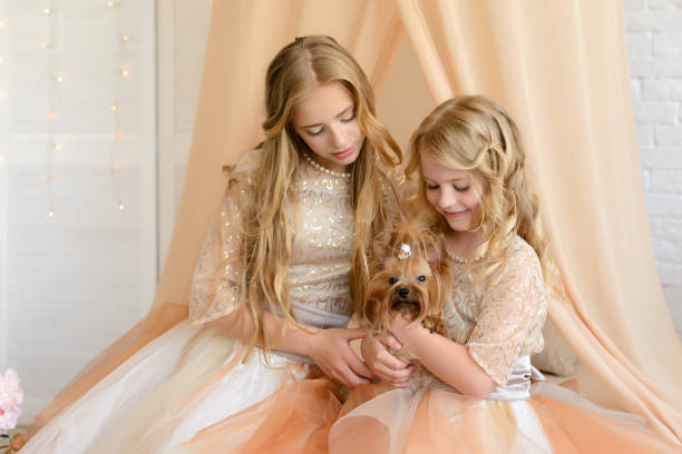 istock Two beautiful girls in a studio 697058060